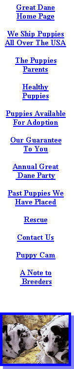 The Puppies